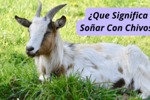 ¿Que Significa Soñar Con Chivos?