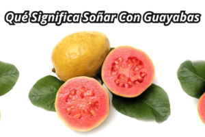 ¿Qué Significa Soñar Con Guayabas?