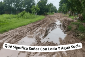 ¿Qué Significa Soñar Con Lodo Y Agua Sucia?