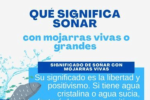 ¿Qué Significa Soñar Con Mojarras?