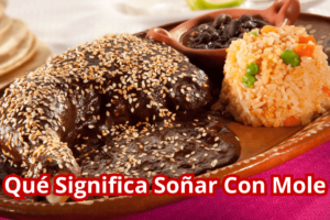 ¿Qué Significa Soñar Con Mole?