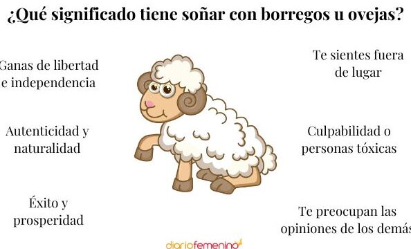 ¿Qué Significa Soñar Con Borregos?