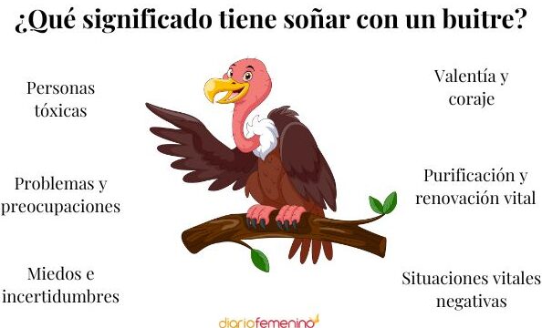 ¿Qué Significa Soñar Con Buitres?