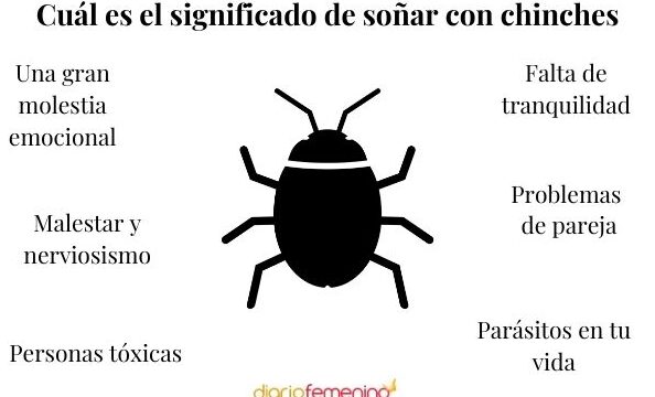 ¿Qué Significa Soñar Con Chinches Que Te Pican?