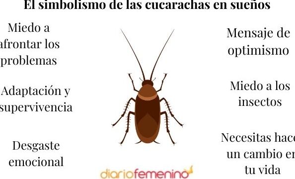 ¿Qué Significa Soñar Con Cucarachas Según La Biblia?