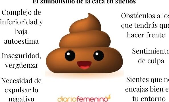 ¿Qué Significa Soñar Con Excremento En La Taza Del Baño?
