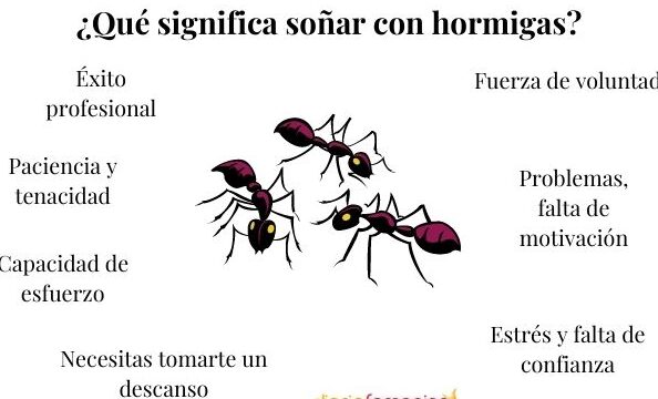 ¿Qué Significa Soñar Con Hormigas Según La Biblia?