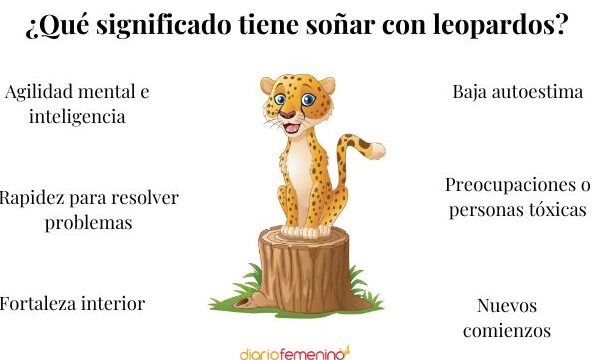 ¿Qué Significa Soñar Con Leopardos?
