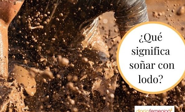 ¿Que Significa Soñar Con Lodo Y Agua?