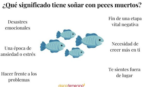 ¿Qué Significa Soñar Con Peces Muertos?