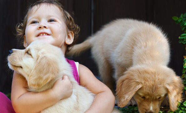 ¿Qué Significa Soñar Con Perritos Bebés?