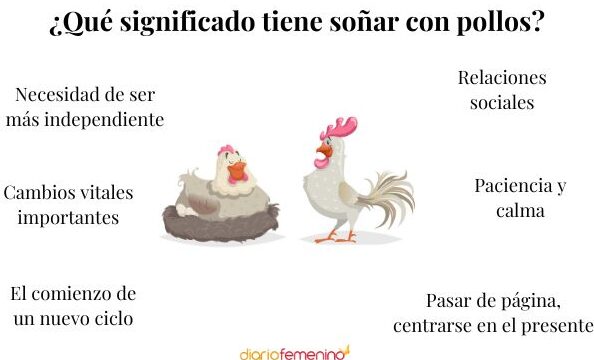 ¿Que Significa Soñar Con Pollos Muertos?