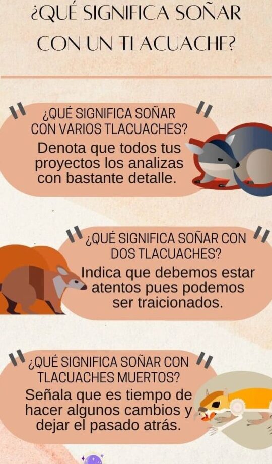 ¿Que Significa Soñar Con Tlacuaches?
