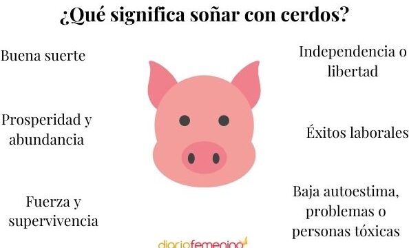 ¿Qué Significa Soñar Con Un Puerco?