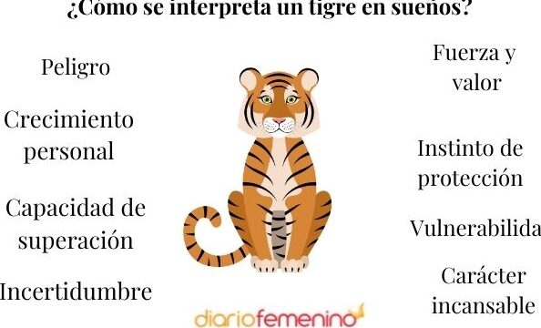 ¿Qué Significa Soñar Con Un Tigre Que Te Persigue?