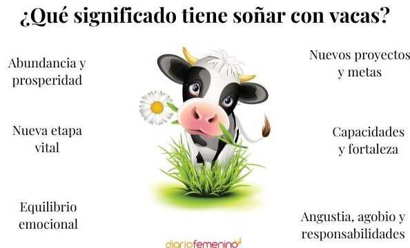 ¿Que Significa Soñar Con Una Vaca Brava Que Me Ataca?