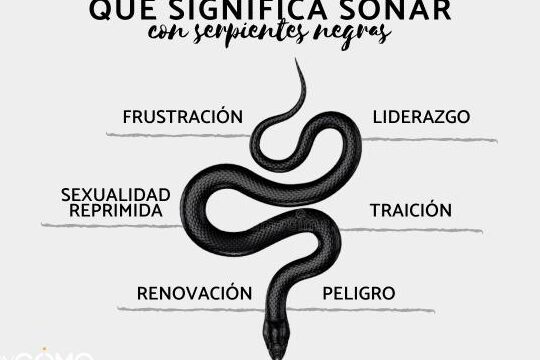 ¿Qué Significa Soñar Con Víboras Negras?
