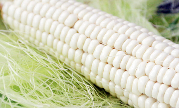 ¿Qué Significa Soñar Maíz Blanco?