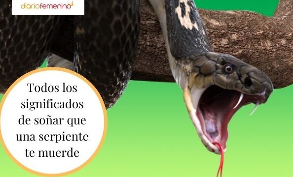 ¿Qué Significa Soñar Que Te Muerde Una Víbora?