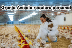 Granja Avícola requiere personal