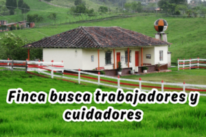 Finca busca trabajadores y cuidadores