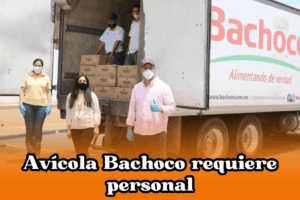 Empresa Avícola Bachoco requiere personal