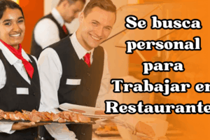 Se busca personal para Trabajar en Restaurantes